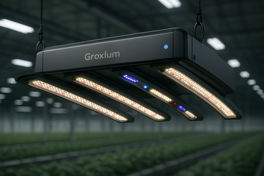 Beyond PAR: A Grower's Guide to UV and Far-Red Light in Advanced Horticultural Lighting