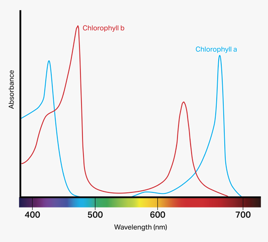 Spectrum Optimization: Tailoring Light Recipes for Different Crops for Maximum Yield