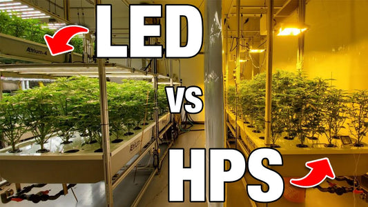 Introduction to Horticultural Lighting: Why LEDs are the Future