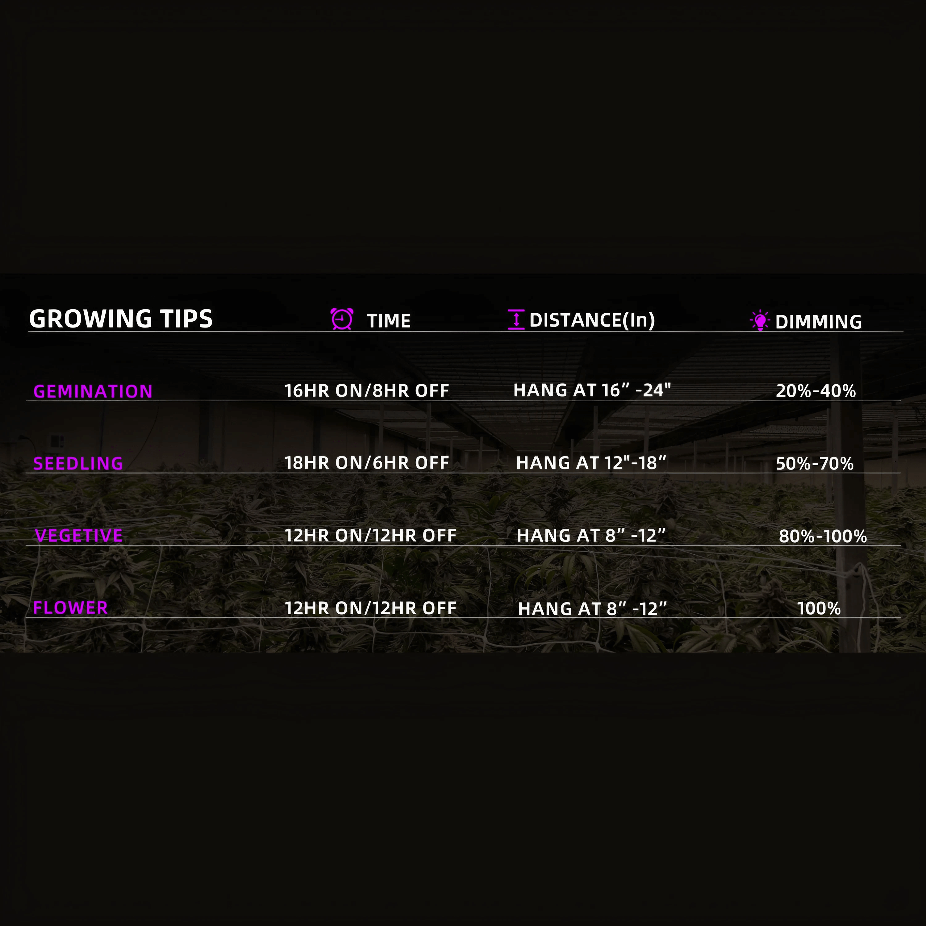 240W LED Grow Light - Full Spectrum White + 460nm + 660nm + 730nm - 2x2ft Coverage - Detachable