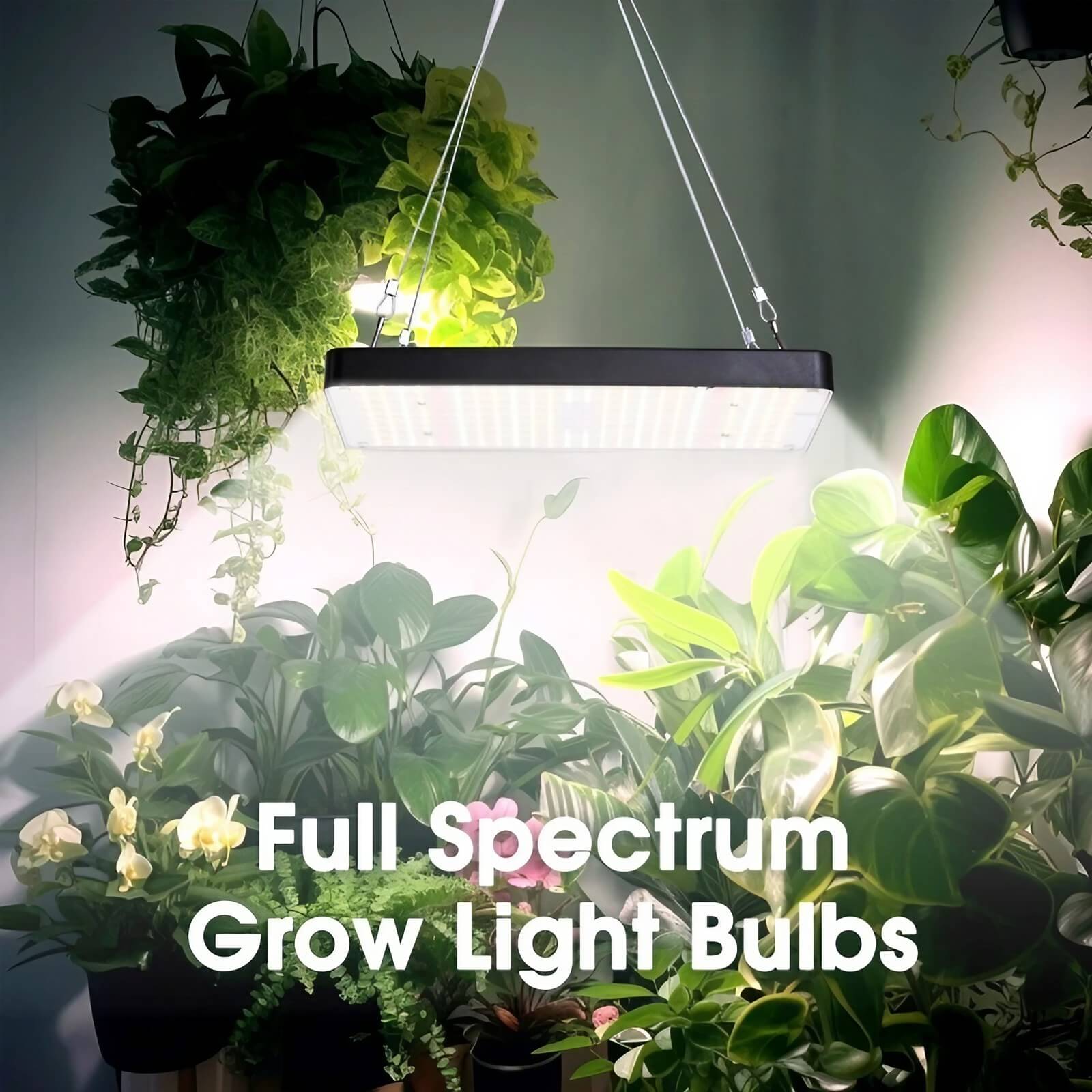 25W Full Spectrum Growing Lamp Lights - 1.2x2ft Coverage