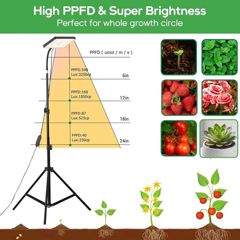 25W Full Spectrum Growing Lamp Lights - 1.2x2ft Coverage