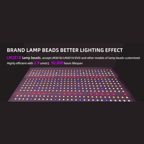 300W LED Grow Light - Quantum Board, 3x3ft Coverage, 3000k+6500k+660nm+730nm+460nm