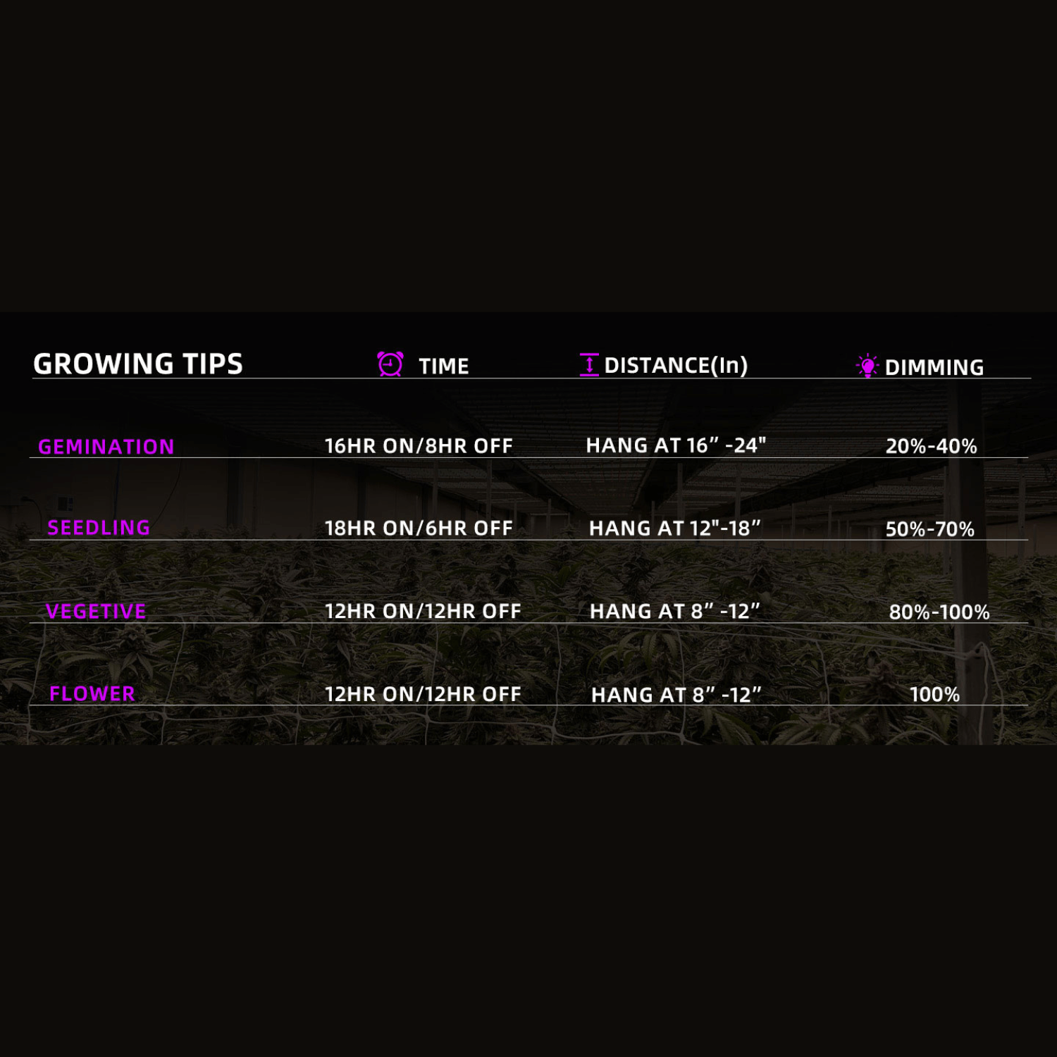 300W LED Grow Light - Quantum Board, 3x3ft Coverage, 3000k+6500k+660nm+730nm+460nm