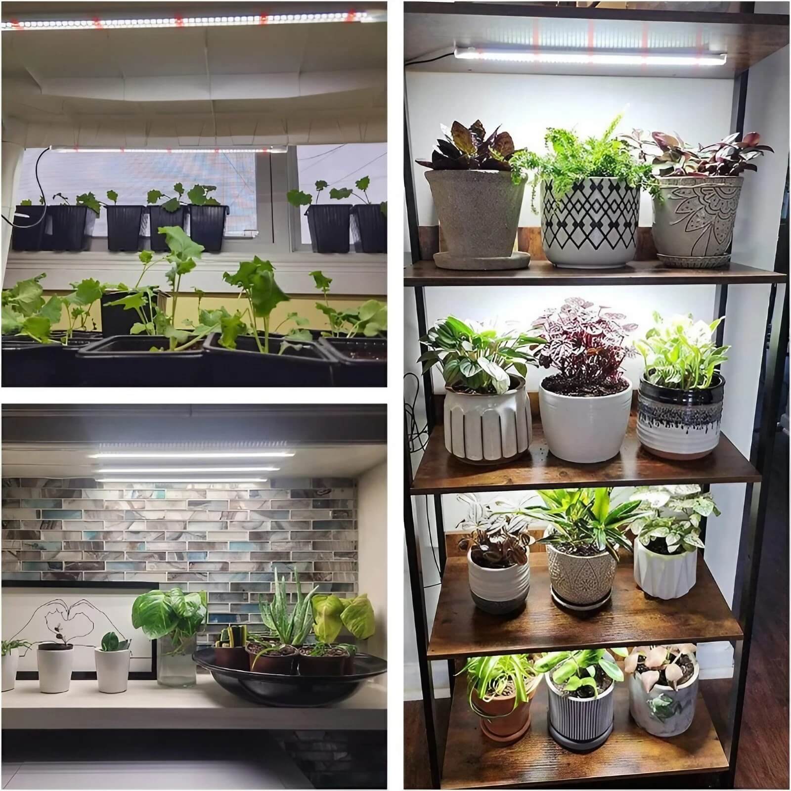 5W Full Spectrum Plant Stand Grow Lights with 3″-9″-12″ Cycle Timer