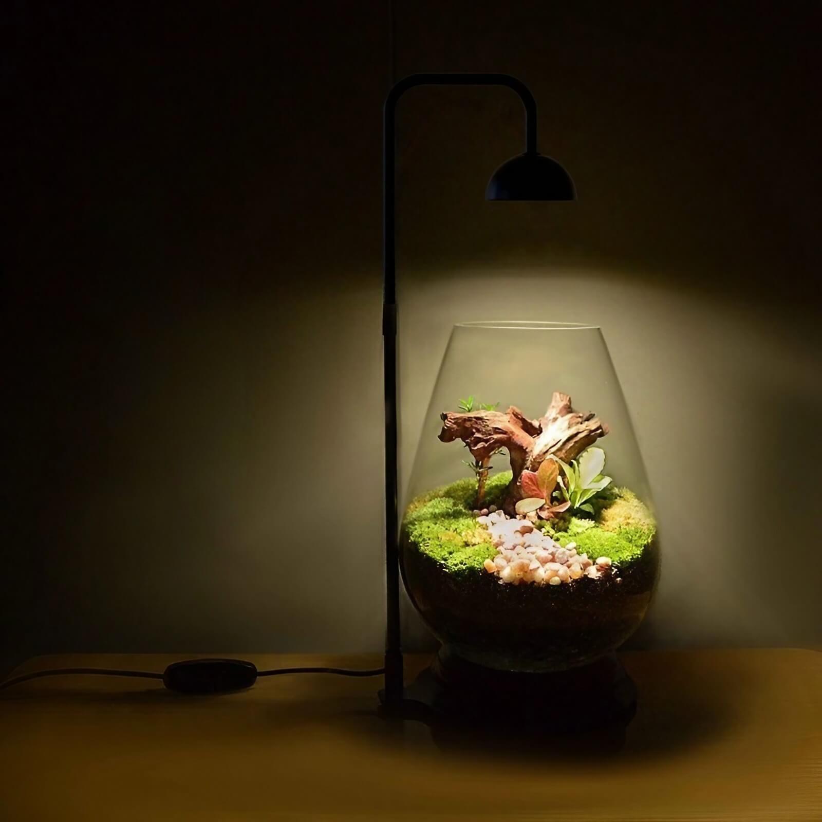 5W Tabletop Grow Light with 3-6-12 hr Cycle Timer