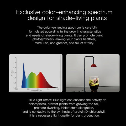 5W Tabletop Grow Light with 3-6-12 hr Cycle Timer