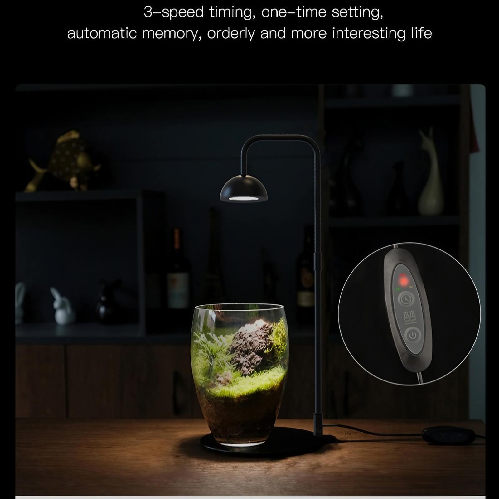 5W Tabletop Grow Light with 3-6-12 hr Cycle Timer