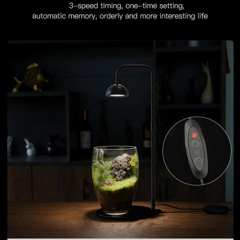 5W Tabletop Grow Light with 3-6-12 hr Cycle Timer