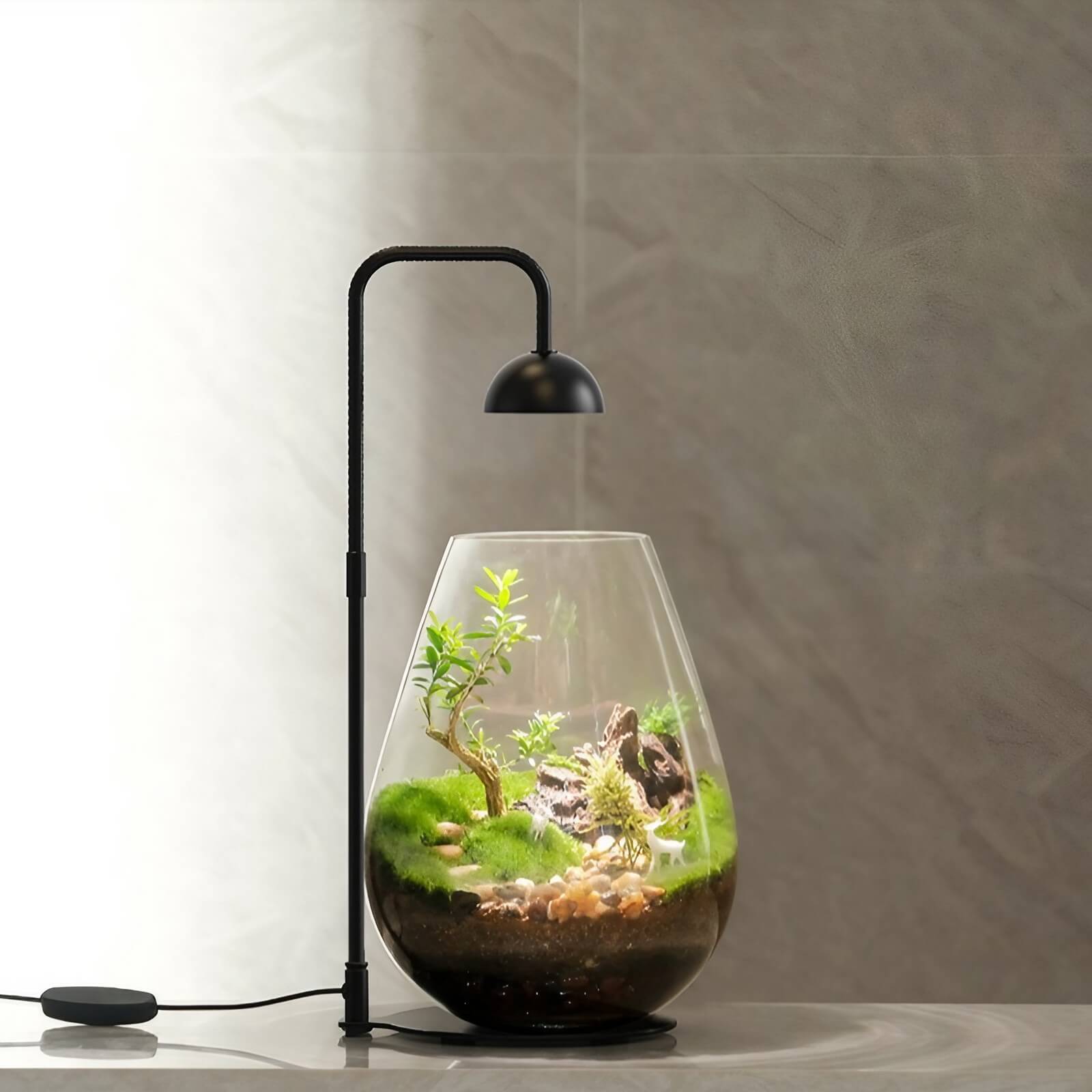 5W Tabletop Grow Light with 3-6-12 hr Cycle Timer