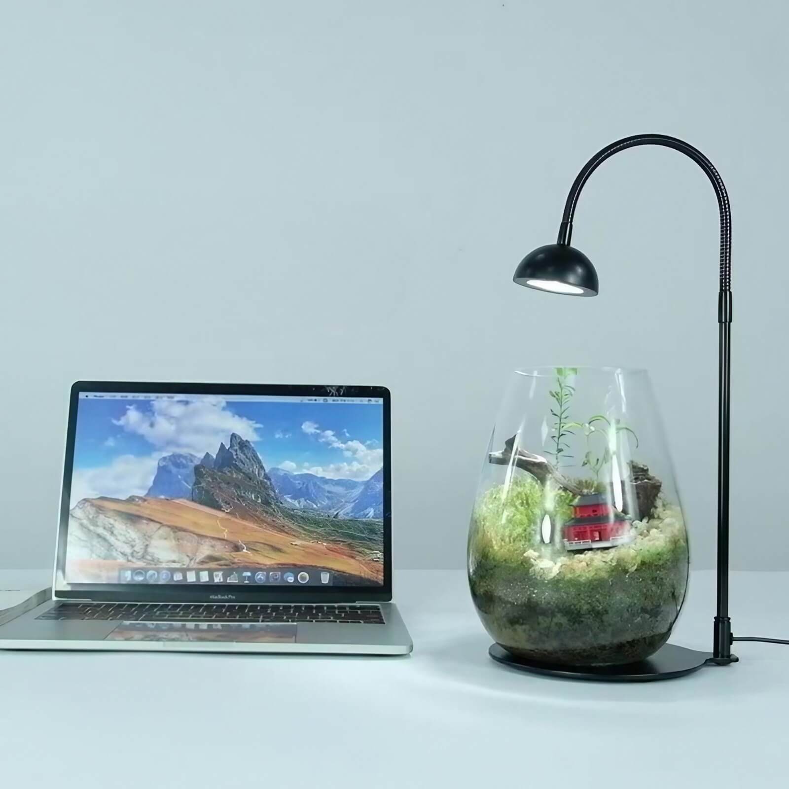 5W Tabletop Grow Light with 3-6-12 hr Cycle Timer