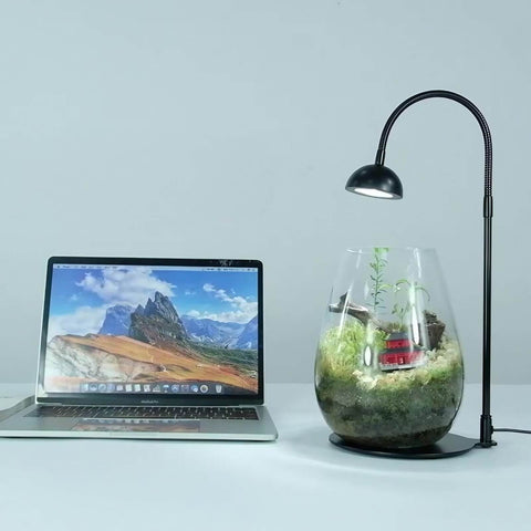 5W Tabletop Grow Light with 3-6-12 hr Cycle Timer