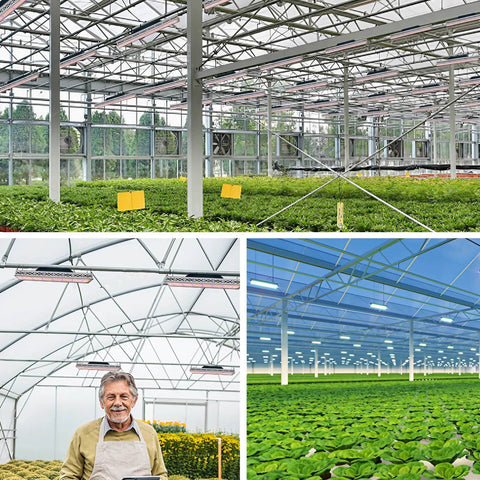 640W LED Grow Light - 46″ Full Spectrum White + 460nm + 660nm + 730nm Top-Fill