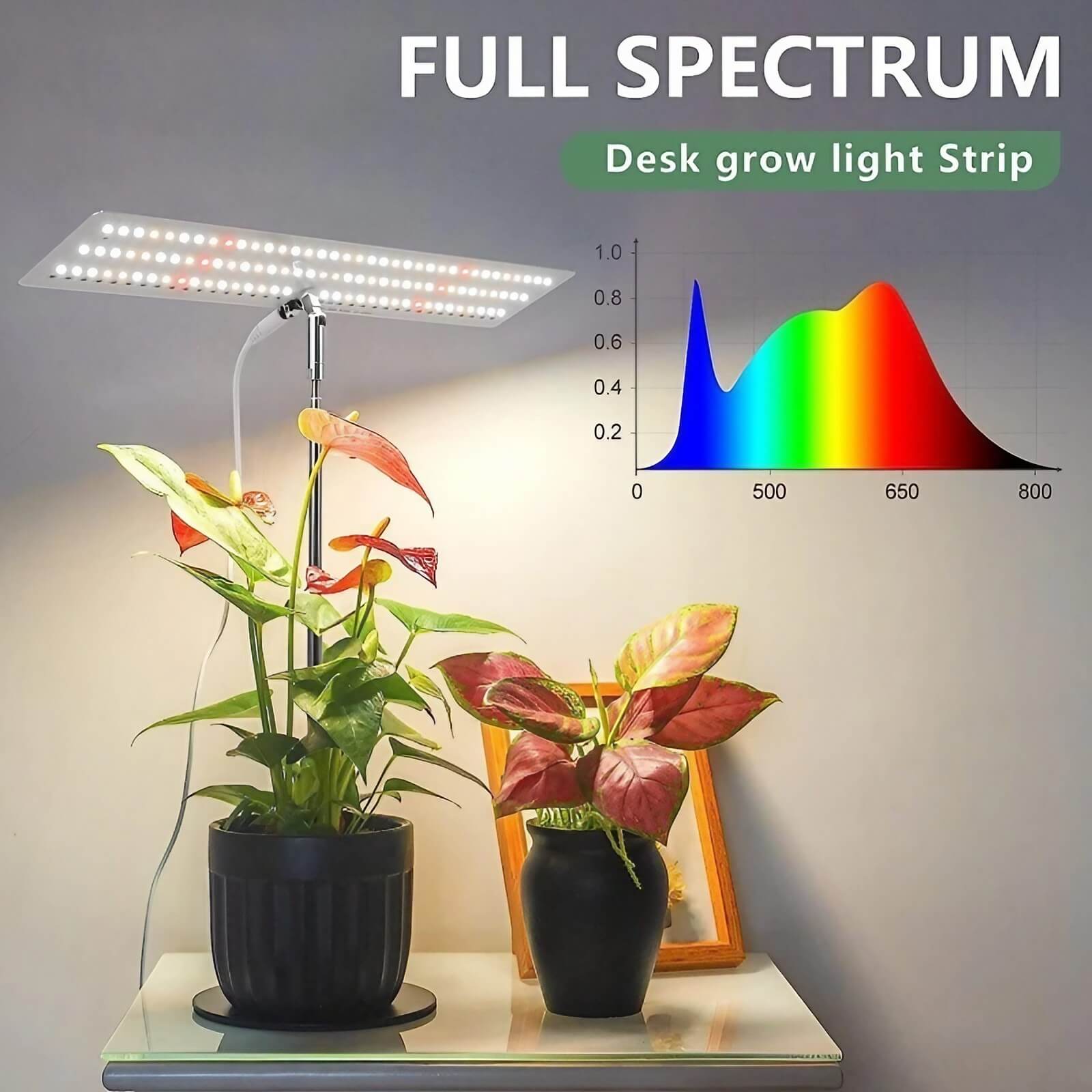 Full Spectrum 10W Tabletop Grow Light - Adjustable 4/8/12 hr Cycle Timer