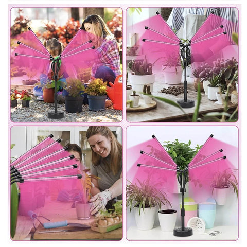 Full Spectrum 11W Tabletop Grow Light - 3″/9″/12″ Timer Settings