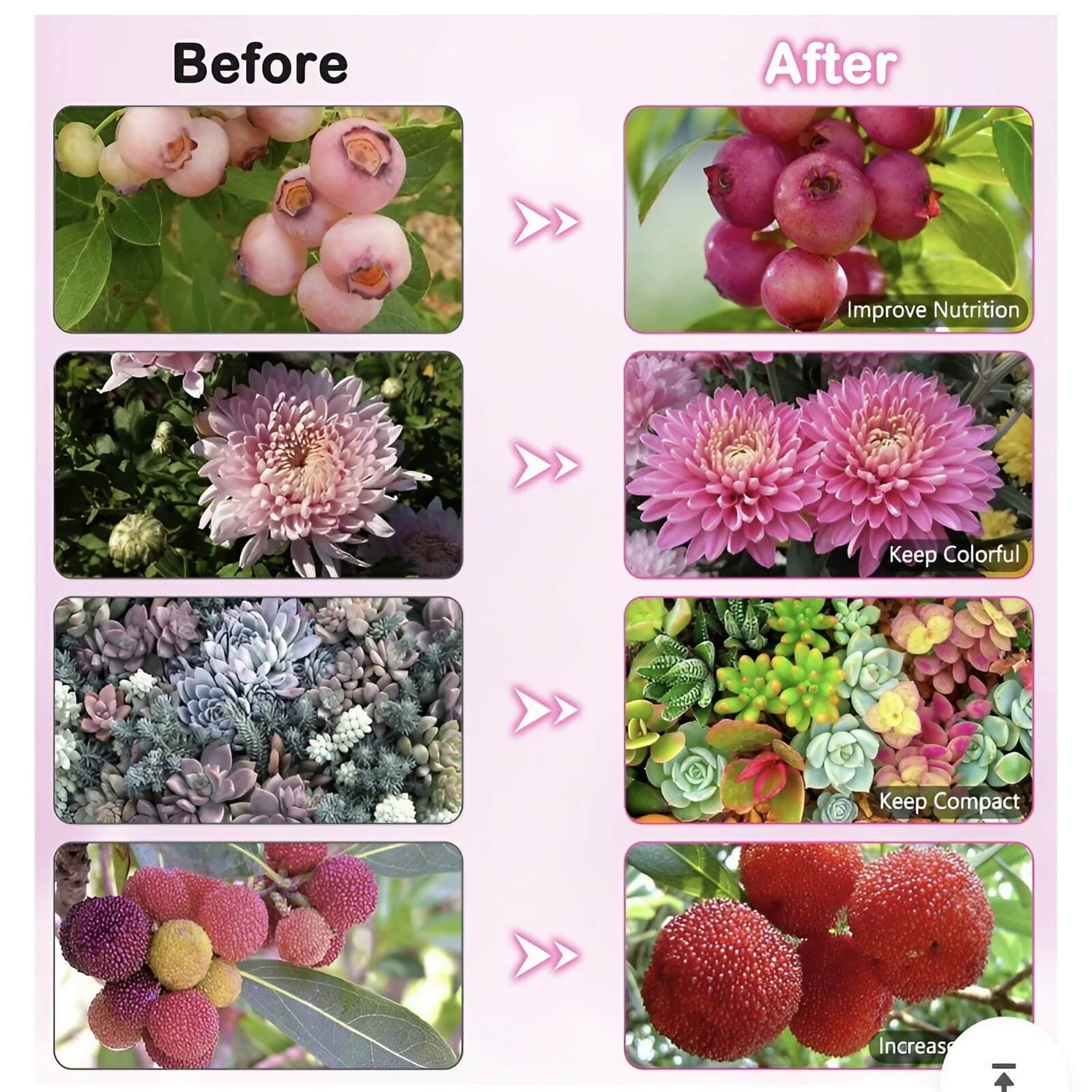 Full Spectrum 11W Tabletop Grow Light - 3″/9″/12″ Timer Settings