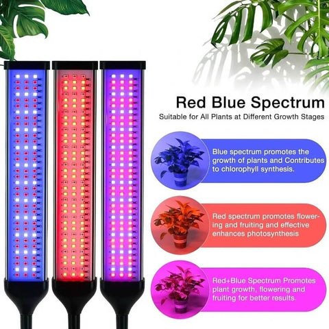Full Spectrum 13W Tabletop Grow Light with 3-9-12 Hour Timer