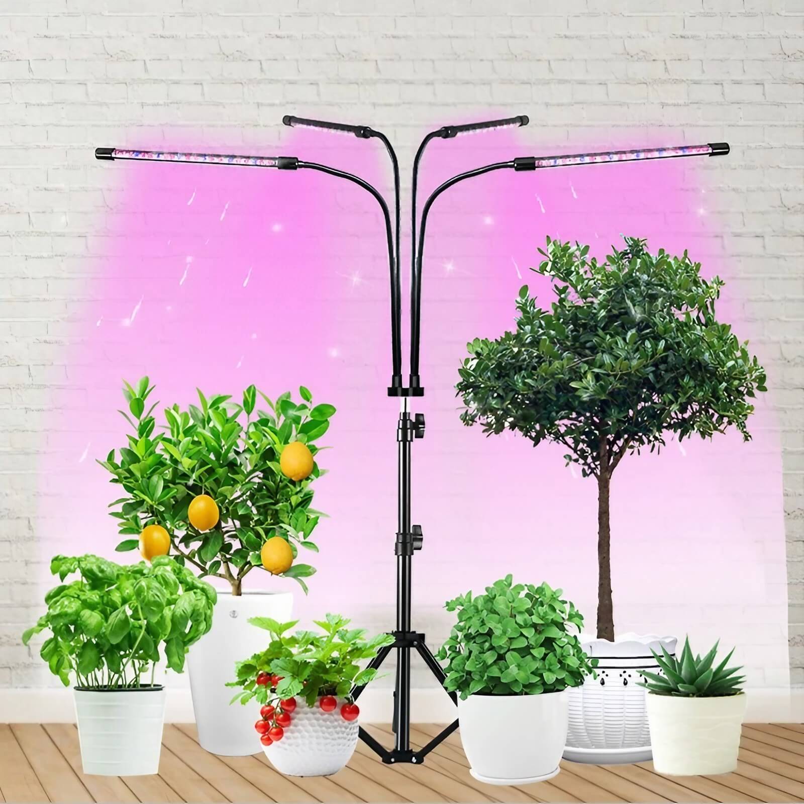 Full Spectrum 14W Growing Lamp Lights with Adjustable 3-9-12 Hour Timer