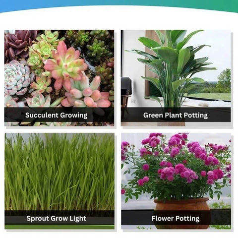 Full Spectrum 14W Growing Lamp Lights with Adjustable 3-9-12 Hour Timer