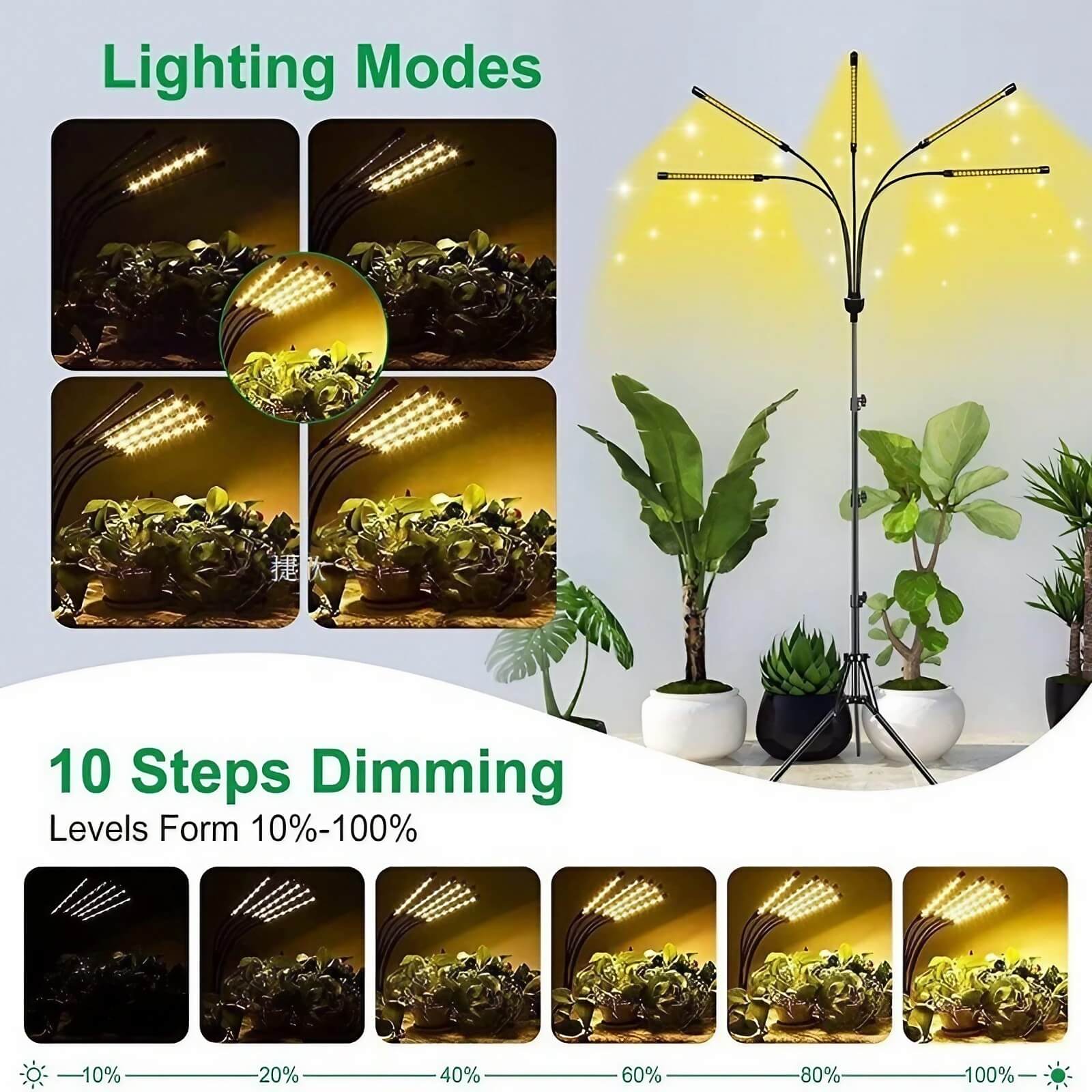 Full Spectrum 14W Growing Lamp Lights with Adjustable 3-9-12 Hour Timer
