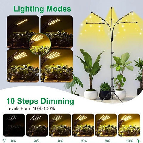 Full Spectrum 14W Growing Lamp Lights with Adjustable 3-9-12 Hour Timer