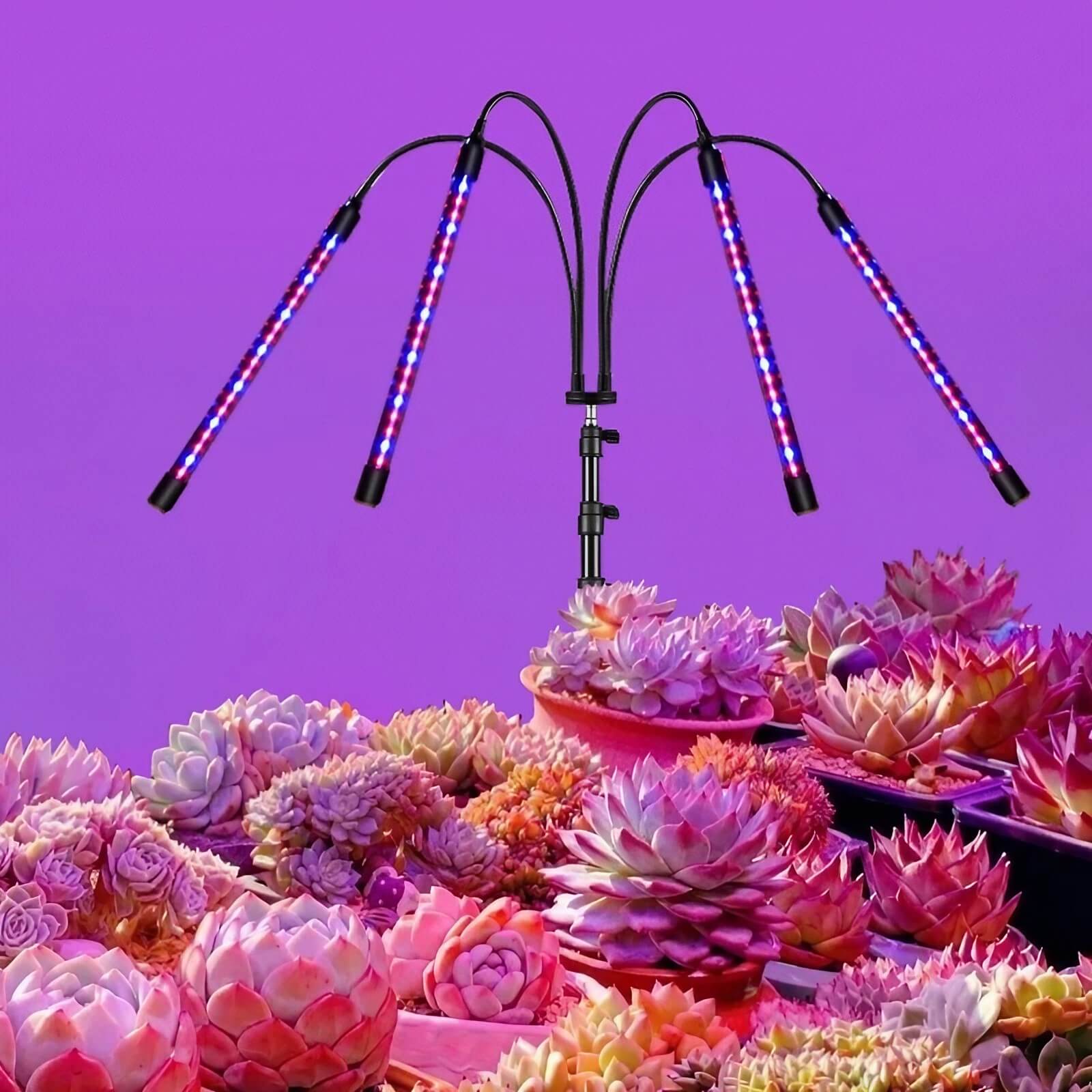 Full Spectrum 14W Growing Lamp Lights with Adjustable 3-9-12 Hour Timer