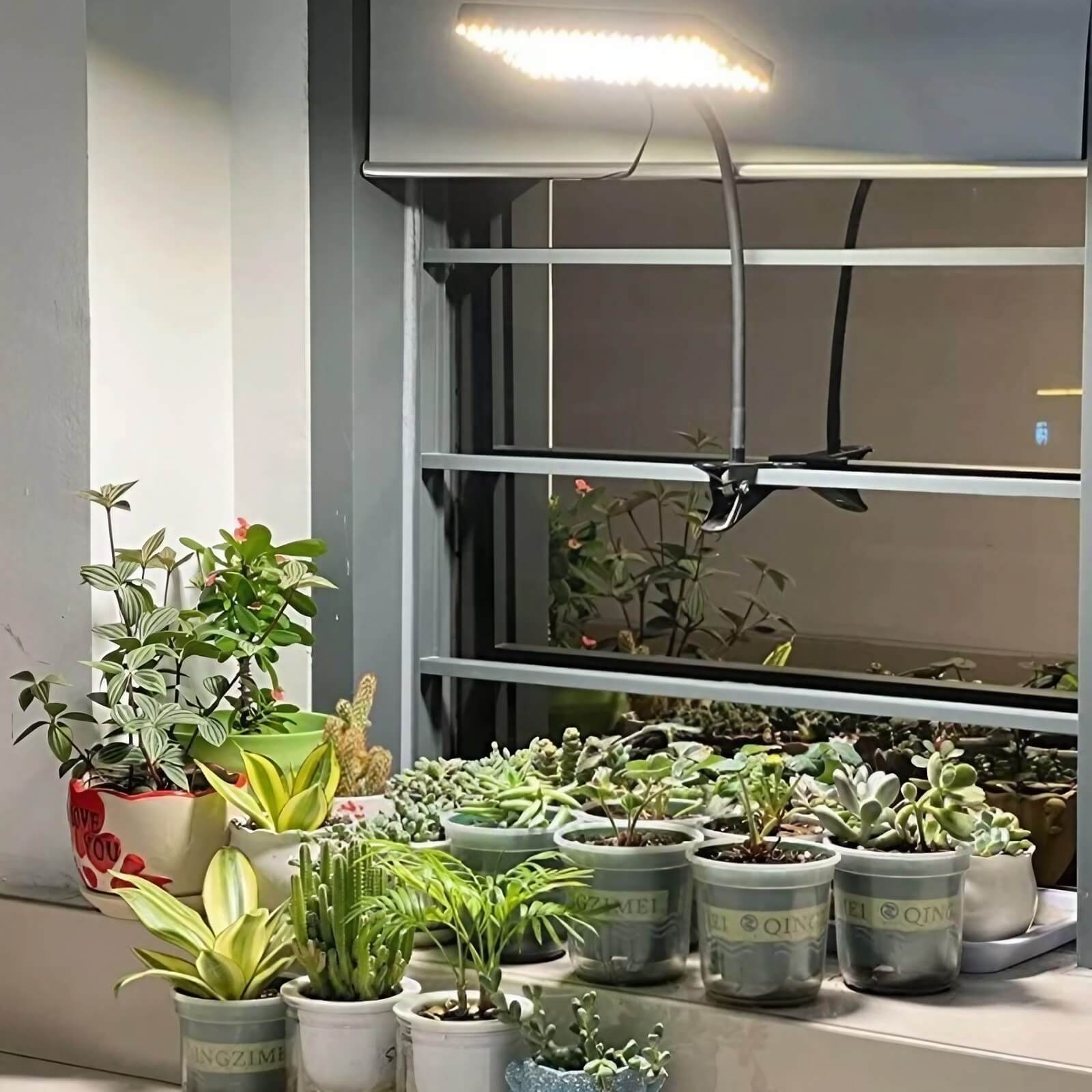 Full Spectrum 20W Tabletop Grow Light