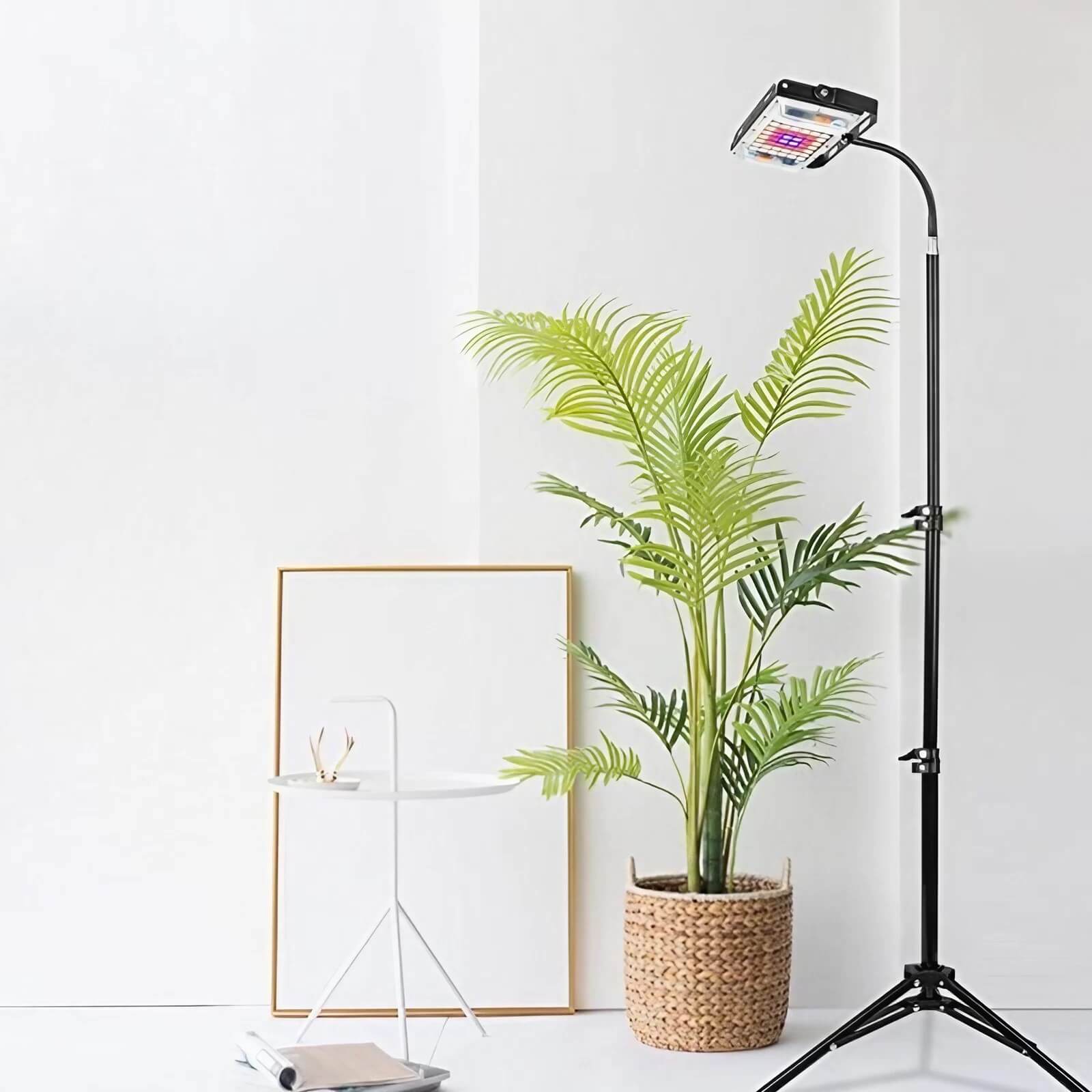 Full Spectrum 20W Tabletop Grow Light