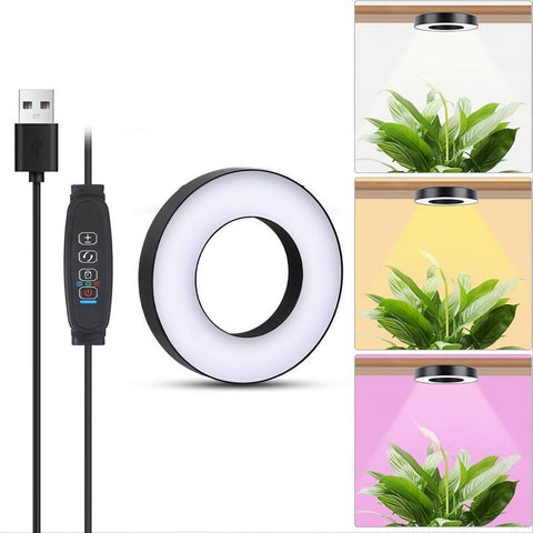 Full Spectrum Plant Stand Grow Lights - 13W - Timer 3/9/12 hrs