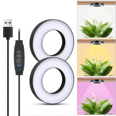 Full Spectrum Plant Stand Grow Lights - 13W - Timer 3/9/12 hrs