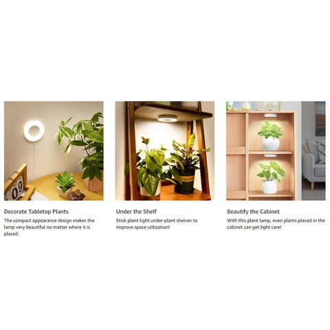 Full Spectrum Plant Stand Grow Lights - 13W - Timer 3/9/12 hrs