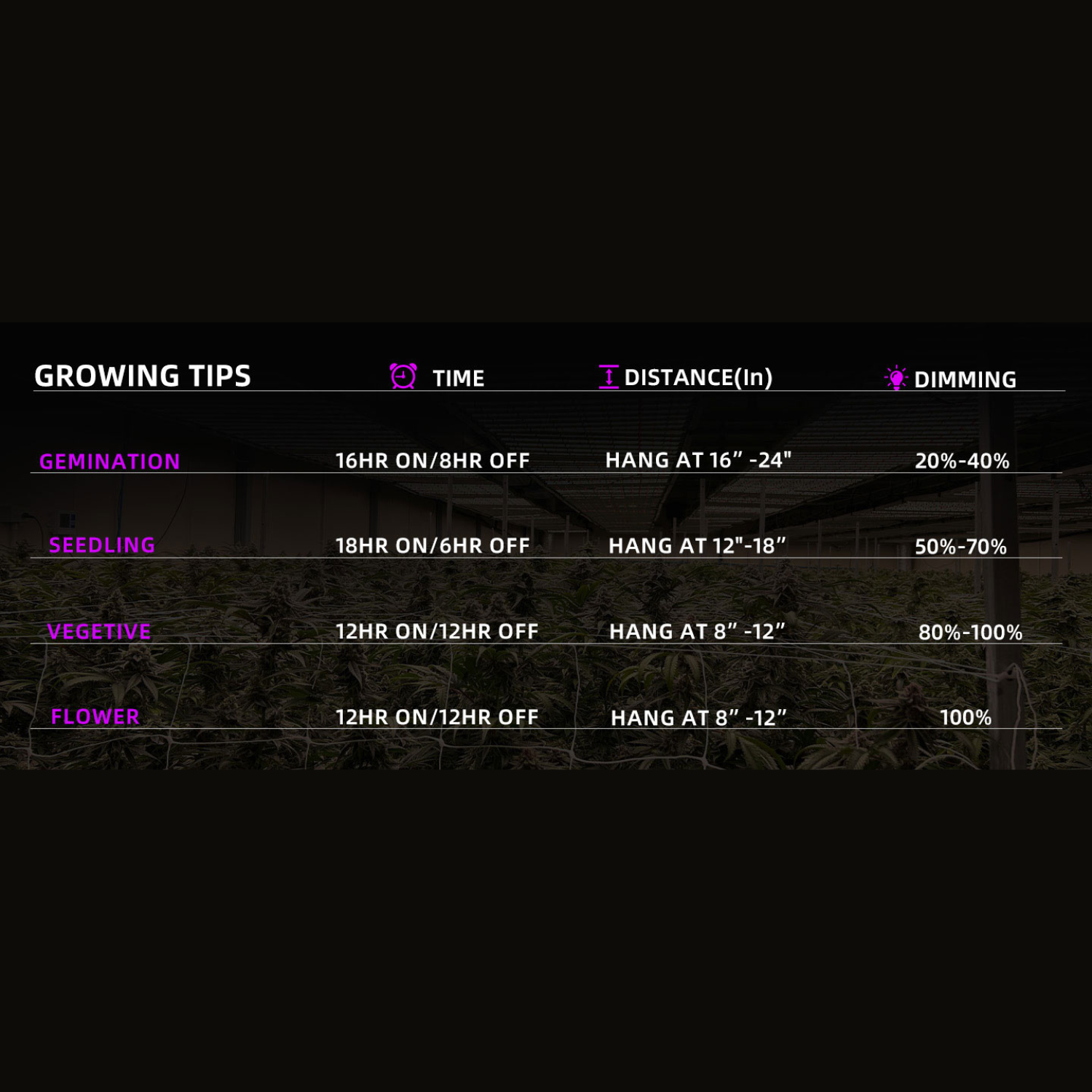 Quantum Board Grow Light - Full Spectrum White 301H +660nm +730nm - Coverage 4x4ft/5x5ft