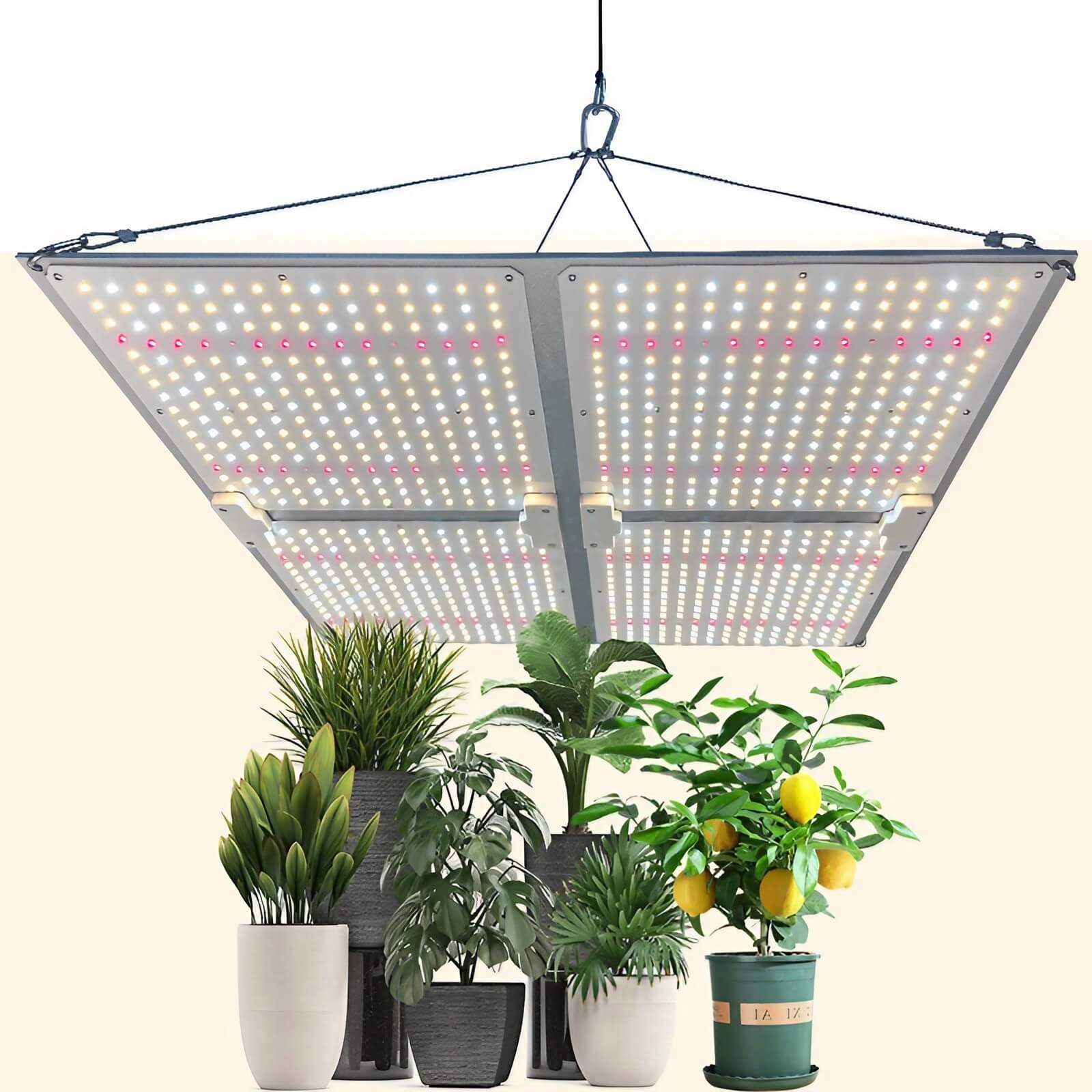 Quantum Board Grow Light - Full Spectrum White 301H +660nm +730nm - Coverage 4x4ft/5x5ft