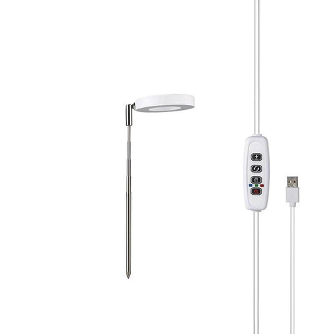 Tabletop Grow Light 5W - Full Spectrum with 3/9/12 Hour Timer