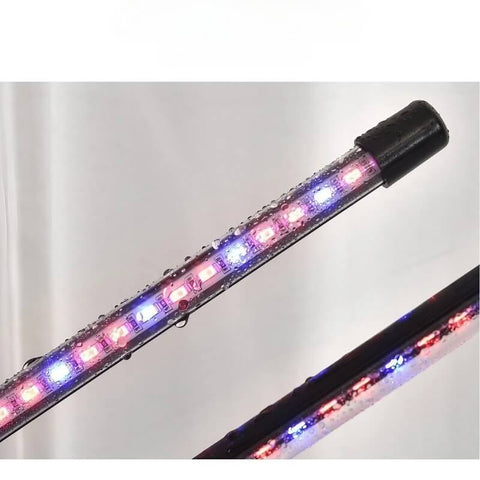 Tabletop Grow Light 5W - Full Spectrum - Adjustable 3/9/12 hr Timer