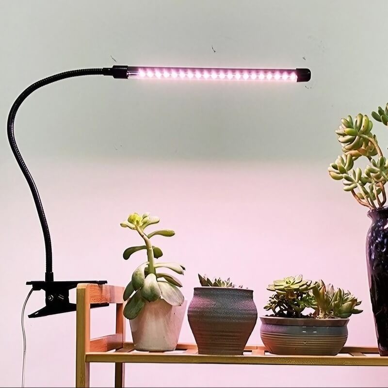 Tabletop Grow Light 5W - Full Spectrum - Adjustable 3/9/12 hr Timer