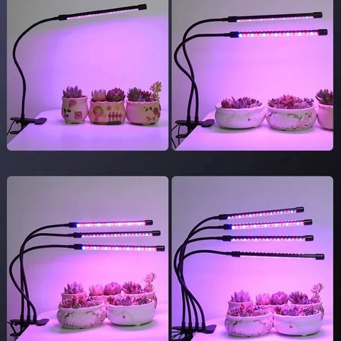 Tabletop Grow Light 5W - Full Spectrum - Adjustable 3/9/12 hr Timer