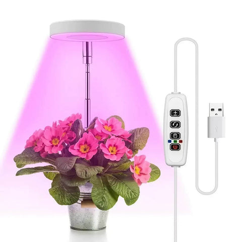 Tabletop Grow Light 5W - Full Spectrum with 3/9/12 Hour Timer