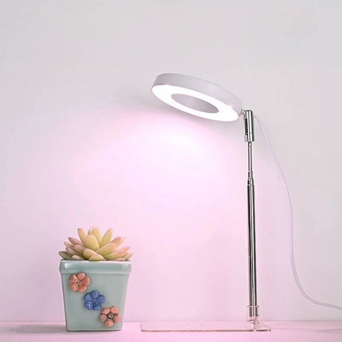 Tabletop Grow Light 5W - Full Spectrum with 3/9/12 Hour Timer