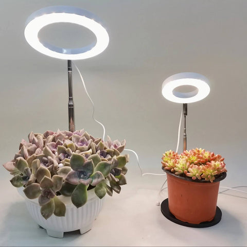 Tabletop Grow Light 5W - Full Spectrum with 3/9/12 Hour Timer